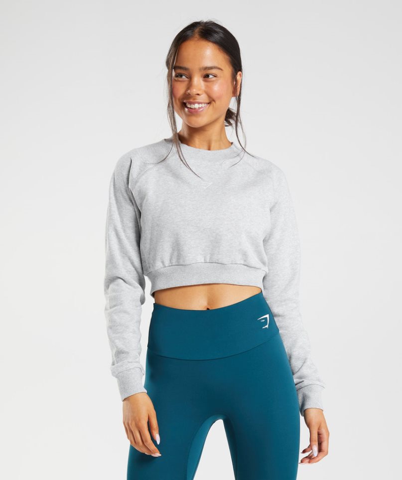 Bluzy Gymshark Treningowe Cropped Damskie Głęboka Szare | PL 578MFB